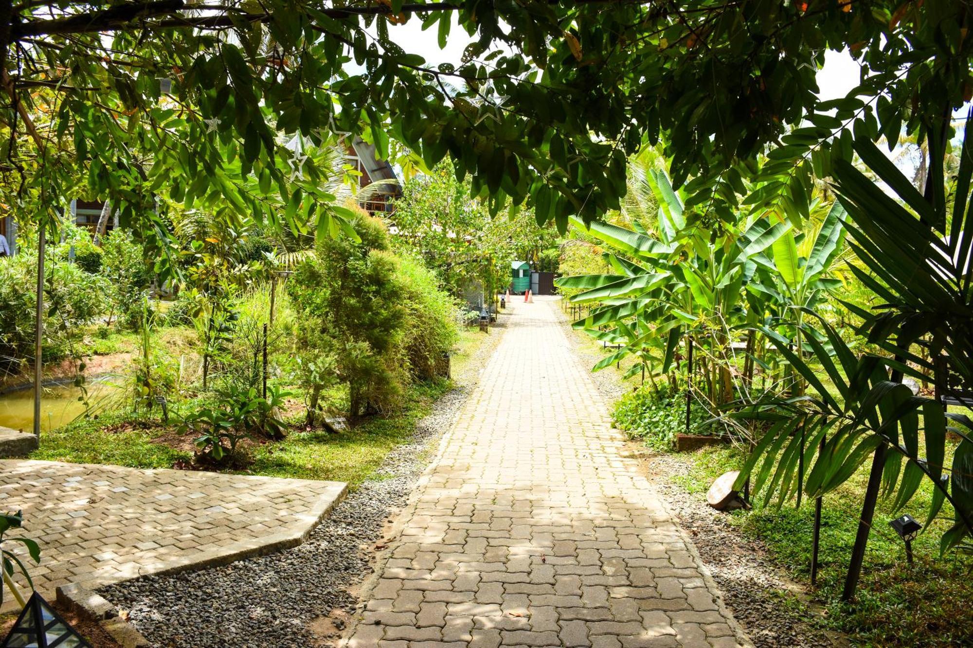 Steps Garden Resort نيجومبو المظهر الخارجي الصورة
