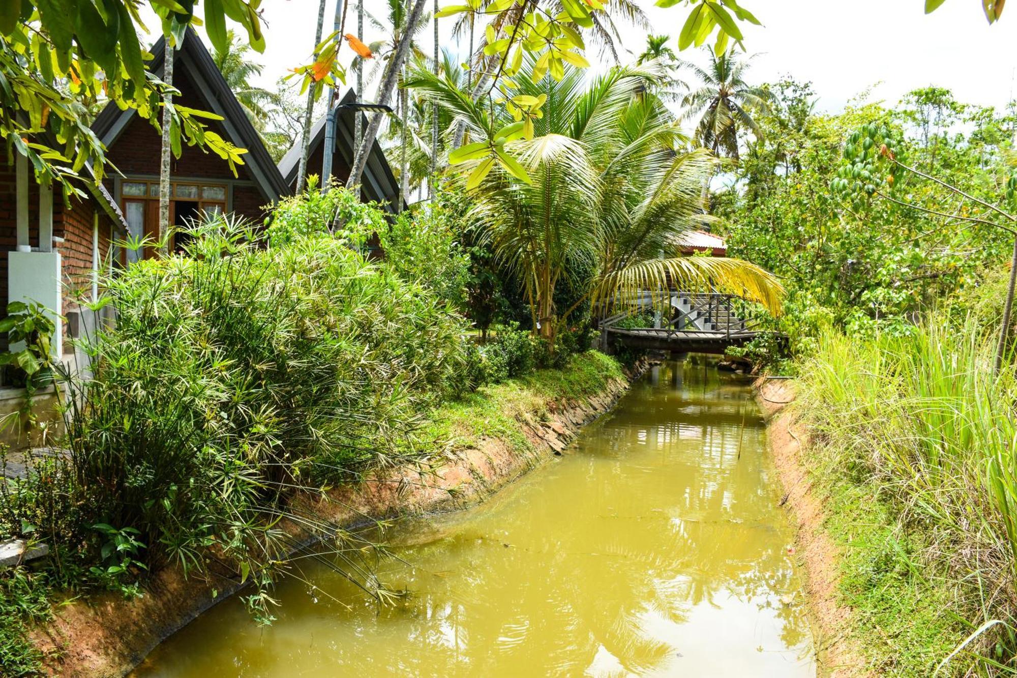 Steps Garden Resort نيجومبو المظهر الخارجي الصورة