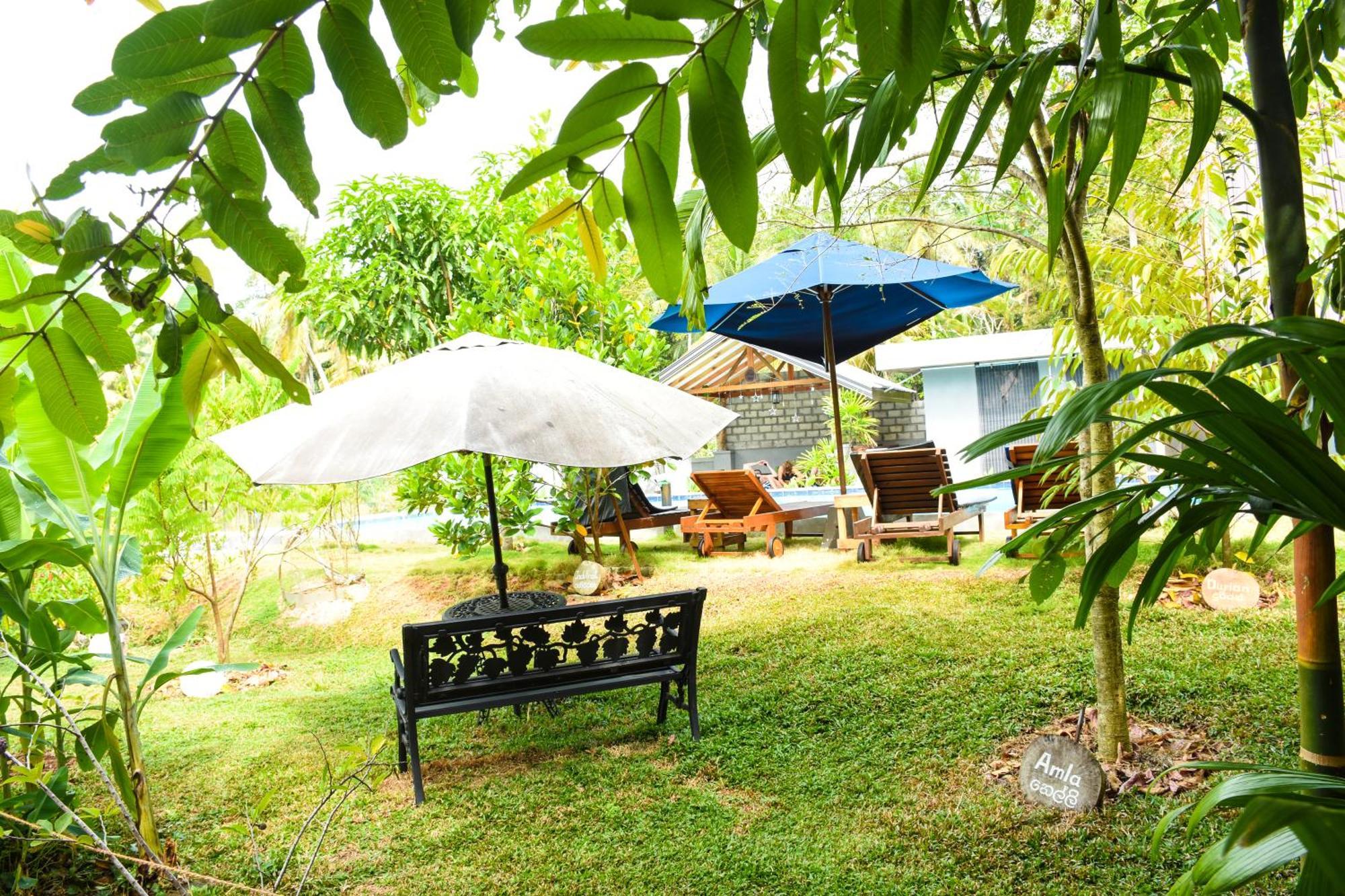 Steps Garden Resort نيجومبو المظهر الخارجي الصورة